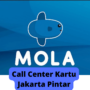 Call Center Mola TV