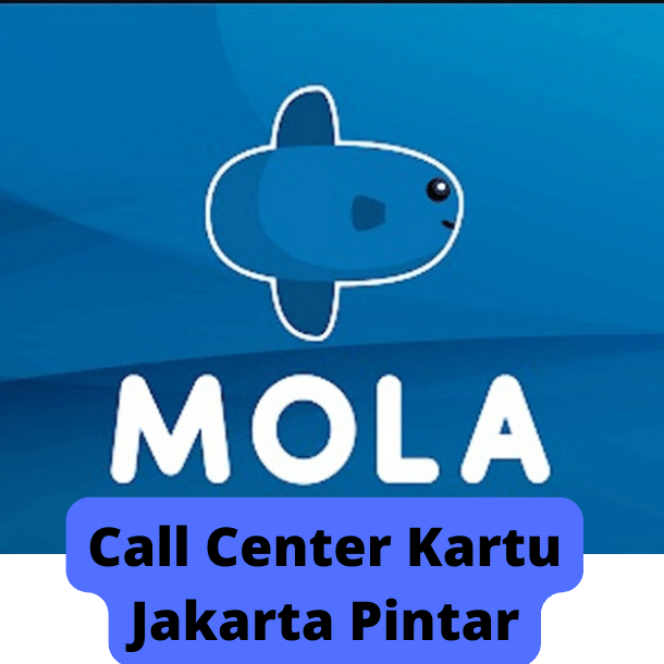 Call Center Mola TV