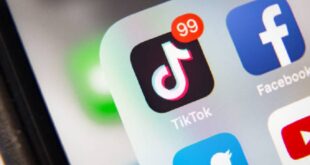 Link Grup Whatsapp Artis Tik Tok