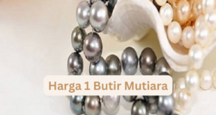 Harga 1 Butir Mutiara