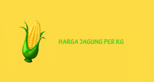 Harga Jagung Per Kg