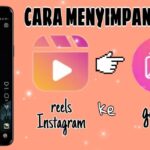 Cara Menyimpan Video dari Instagram Tanpa Aplikasi