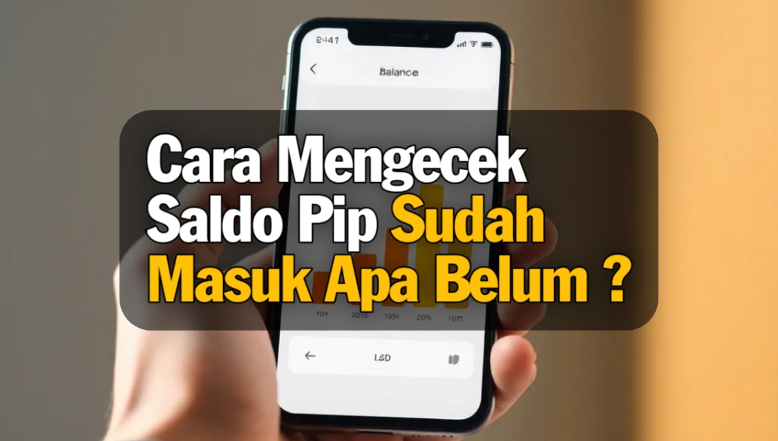 Cara Mengecek Saldo Pip Sudah Masuk Apa Belum?