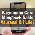 Bagaimana Cara Mengecek Saldo Asuransi Bri Life?