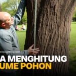 Cara Menghitung Volume Pohon