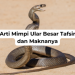 Arti Mimpi Ular Besar Tafsir dan Maknanya