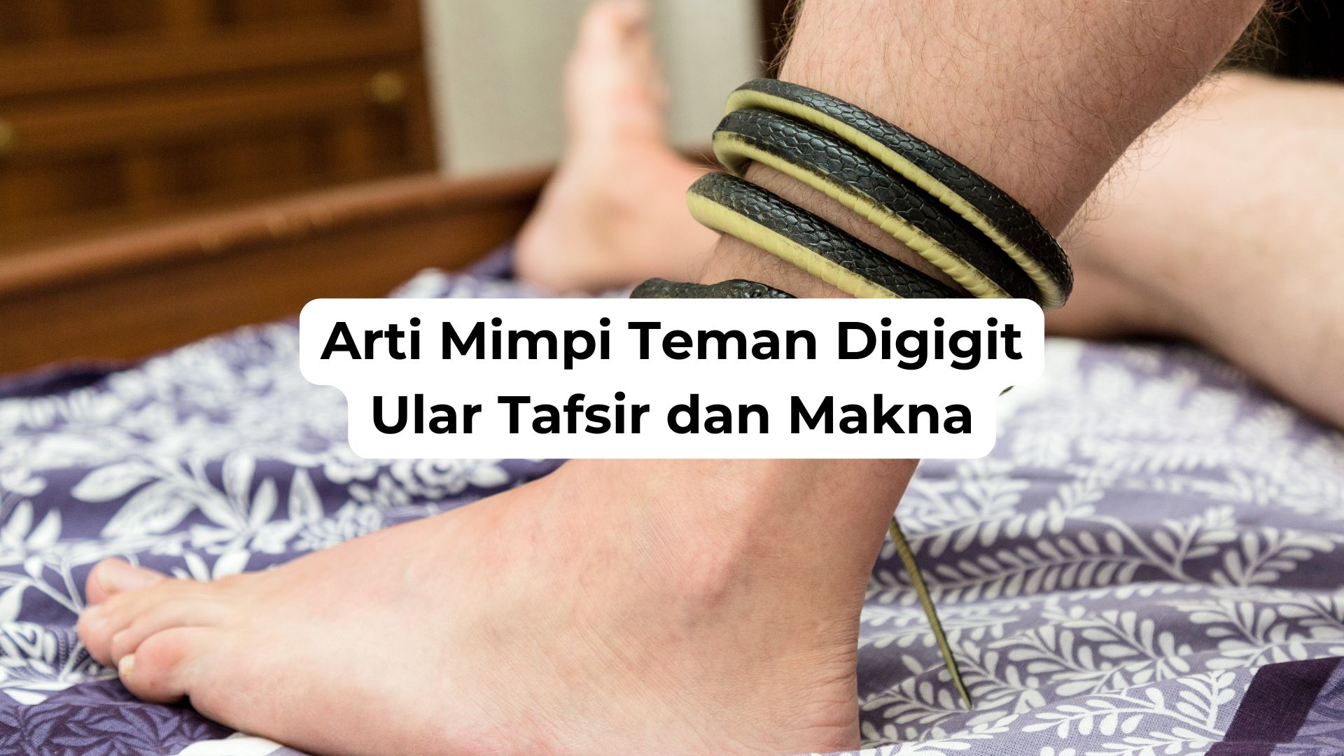 Arti Mimpi Teman Digigit Ular Tafsir dan Makna