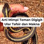 Arti Mimpi Teman Digigit Ular Tafsir dan Makna