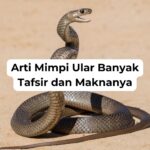 Arti Mimpi Ular Banyak Tafsir dan Maknanya